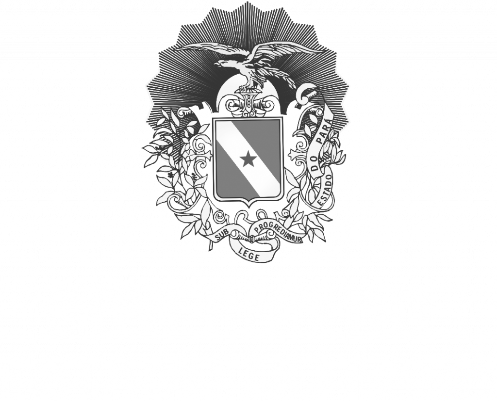 Brasão do Pará — radial mono